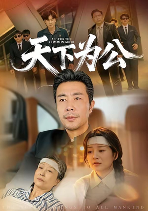 【天下为公】58集优质短剧免费在线速看
