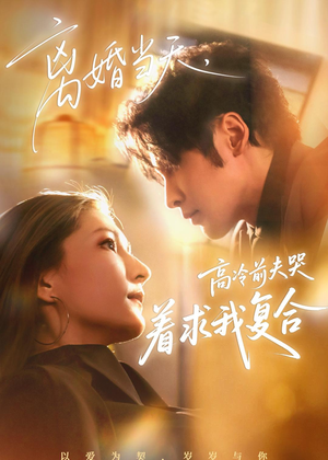 离婚当天，高冷前夫哭着求我复合（77集）追风的女孩短剧