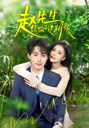 赵先生结婚证过期不候（50集）夸克网盘观看
