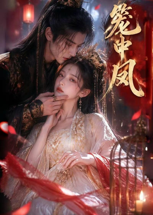 笼中凤（44集）古装短剧热播