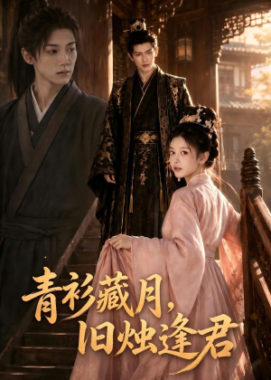 青衫藏月，旧烛逢君（56集）夸克在线观看