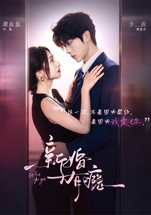 【新婚有瘾】83集优质短剧在线观看