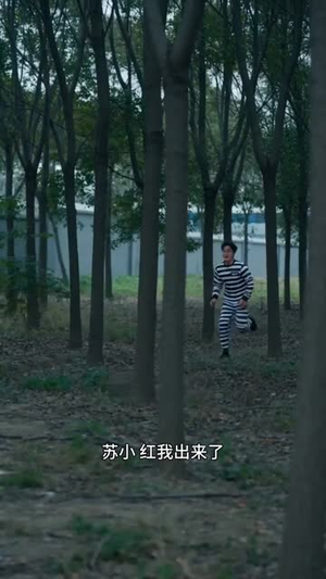 致命重生:步步为营(73集) 致命重生:步步为营(73集)短剧解说热门