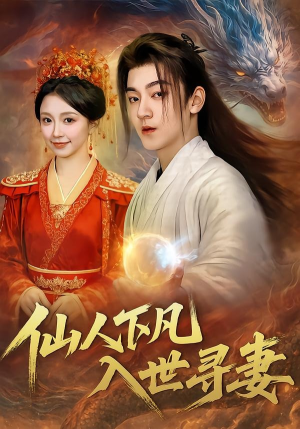 【仙人下凡，入世寻妻】61集短剧在线观看免费畅享