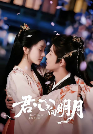 【君心向明月】60集高清短剧免费在线观看