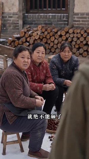 【重生八零，从深山打猎开始】58集短剧免费全集畅看