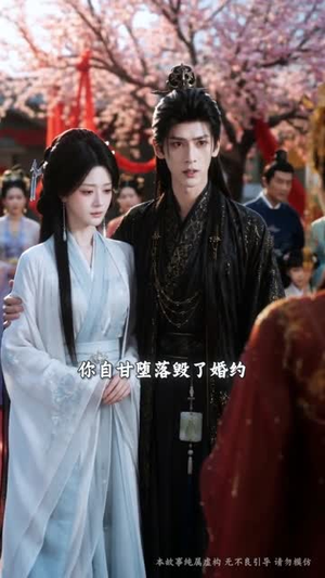 【皮相谋】53集热门短剧在线免费赏看