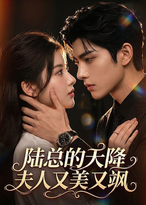【陆总的天降夫人又美又飒】80集免费短剧完整版在线看