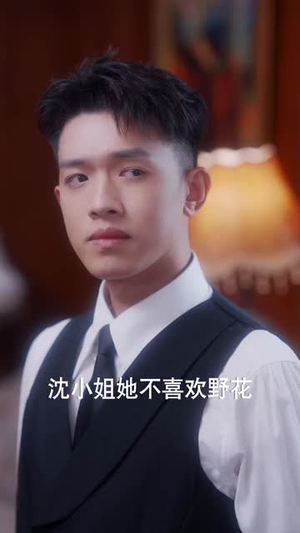 【少帅，少夫人她换芯归来】74集短剧免费在线观看中