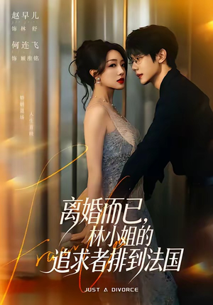 【离婚而已，林小姐的追求者排到法国】79集热门短剧免费览看