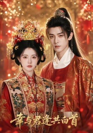 【幸与君逢共白首】79集精彩短剧免费在线赏看