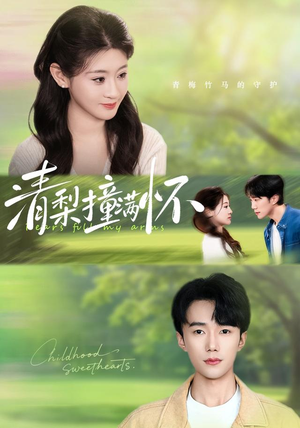 【清梨撞满怀】77集短剧完整版免费观看