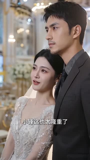 【辞职后我成塔吊之王】80集在线短剧免费全集观