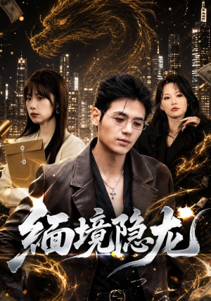 【缅境隐龙】65集短剧在线免费观看全集