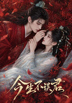 【今生不误君】106集短剧在线观看全集免费