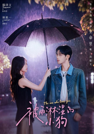 【被雨淋湿的小狗】80集短剧免费全集在线速看