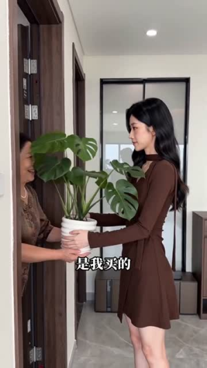 玫瑰在第二个冬天枯萎（33集）解说文案
