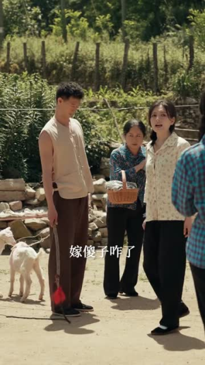 八零嫁傻，他宠妻无度（63集）精彩的网络短剧