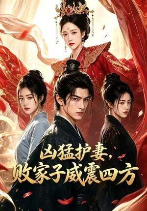 凶猛护妻，败家子威震四方（85集）看过的人都说好