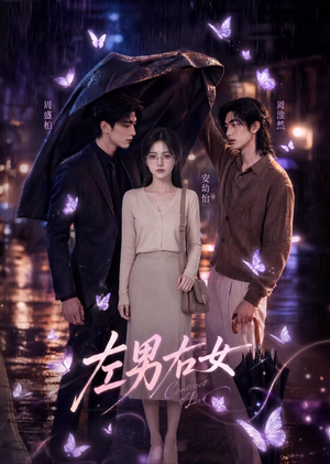 【左男右女】63集热门短剧在线免费观