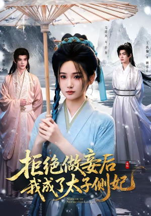 拒绝做妾后我成了太子侧妃＆一纸离人愁（89集）最新热门短剧