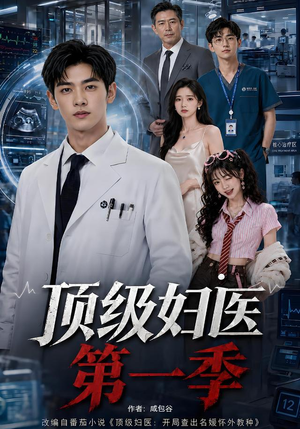 顶级妇医第一季（63集）夸克网盘观看