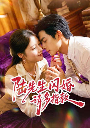 陆先生闪婚请多指教（53集）在线免费观看