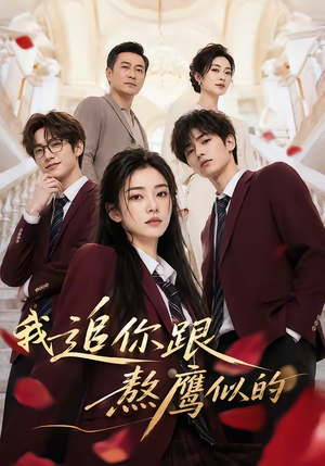 我追你跟熬鹰似的（95集）无需会员轻松看