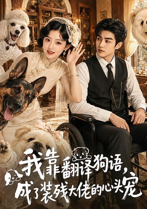 我靠翻译狗语，成了装残大佬的心尖宠（80集）在哪个app能看