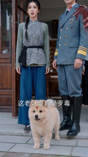 灵犬携福来，旺遍上海滩（80集）短剧全集免费看