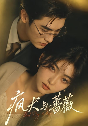 疯犬与蔷薇（48集）精彩短剧合集