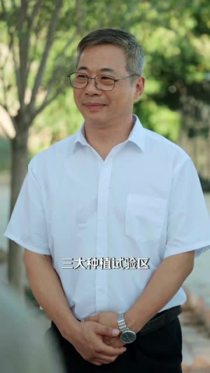 重生九零，火爆老爹带全家致富（67集）短剧热门分享