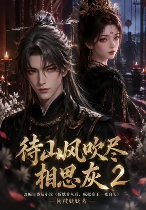 待山风吹尽相思灰2（126集）在哪看