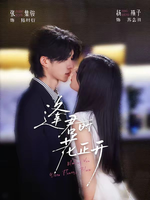 逢君时花正开（72集）好看吗