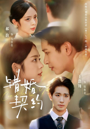 错婚契约（66集）集免费看短剧