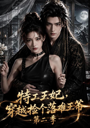 【特工王妃，穿越捡个落难王爷第二季】164集短剧全集免费赏看