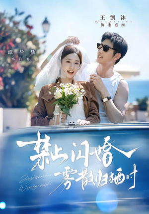 【禁止闪婚，雾散归栖时】66集短剧资源免费在线观看