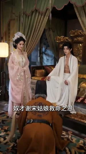 请君入我怀（96集）精彩热门短剧